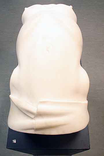 Torso gebogen